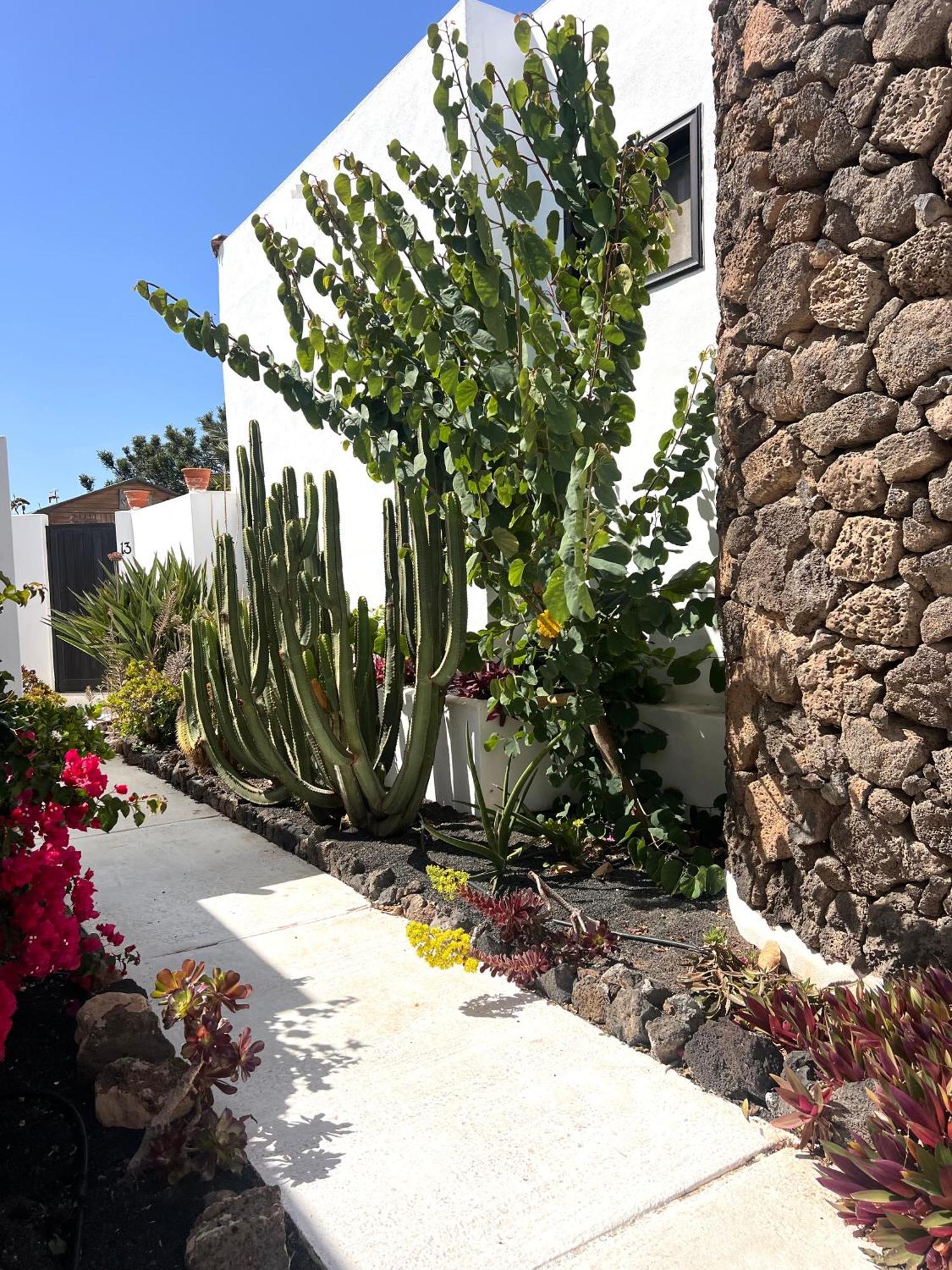 Villa Oasis En Lanzarote Costa Teguise Exterior foto