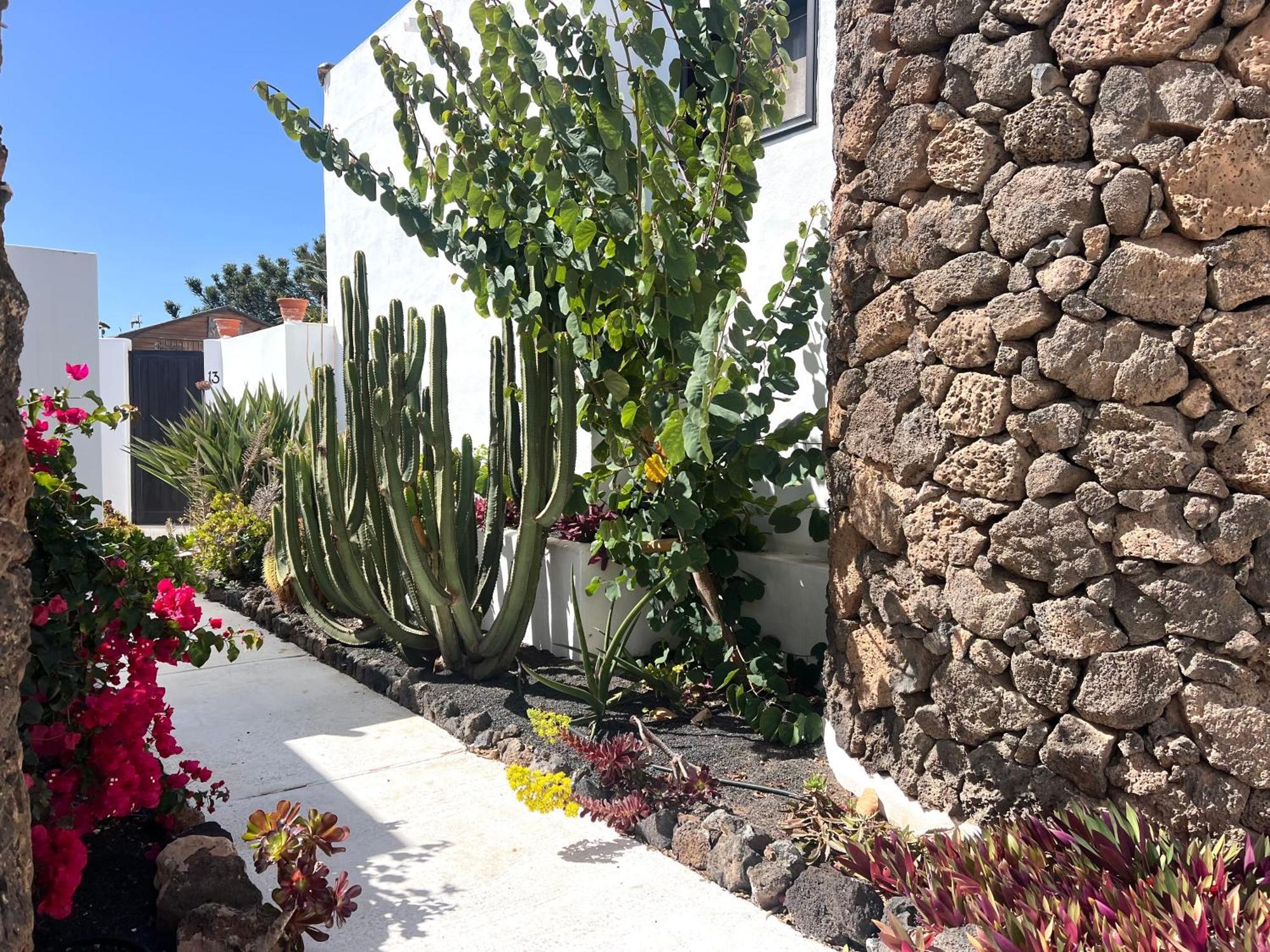 Villa Oasis En Lanzarote Costa Teguise Exterior foto